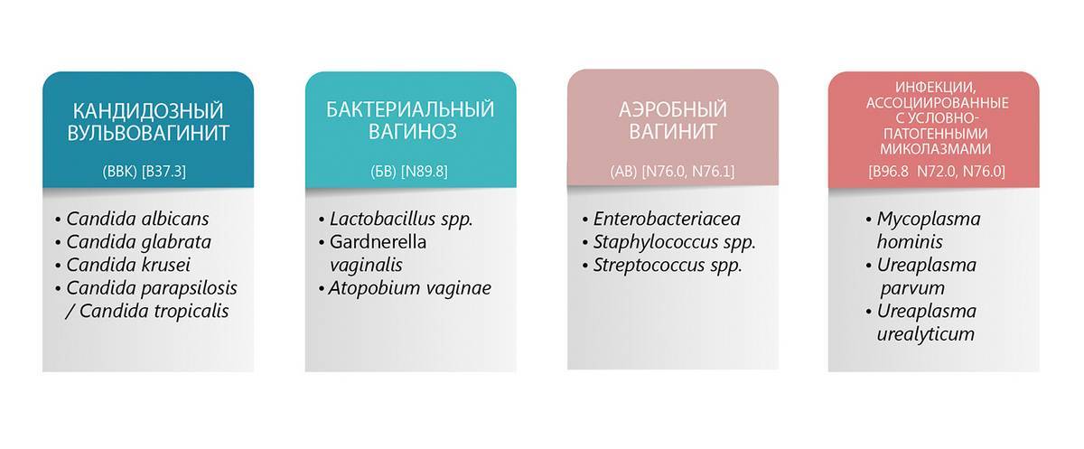 Схема лечения вагинита у женщин