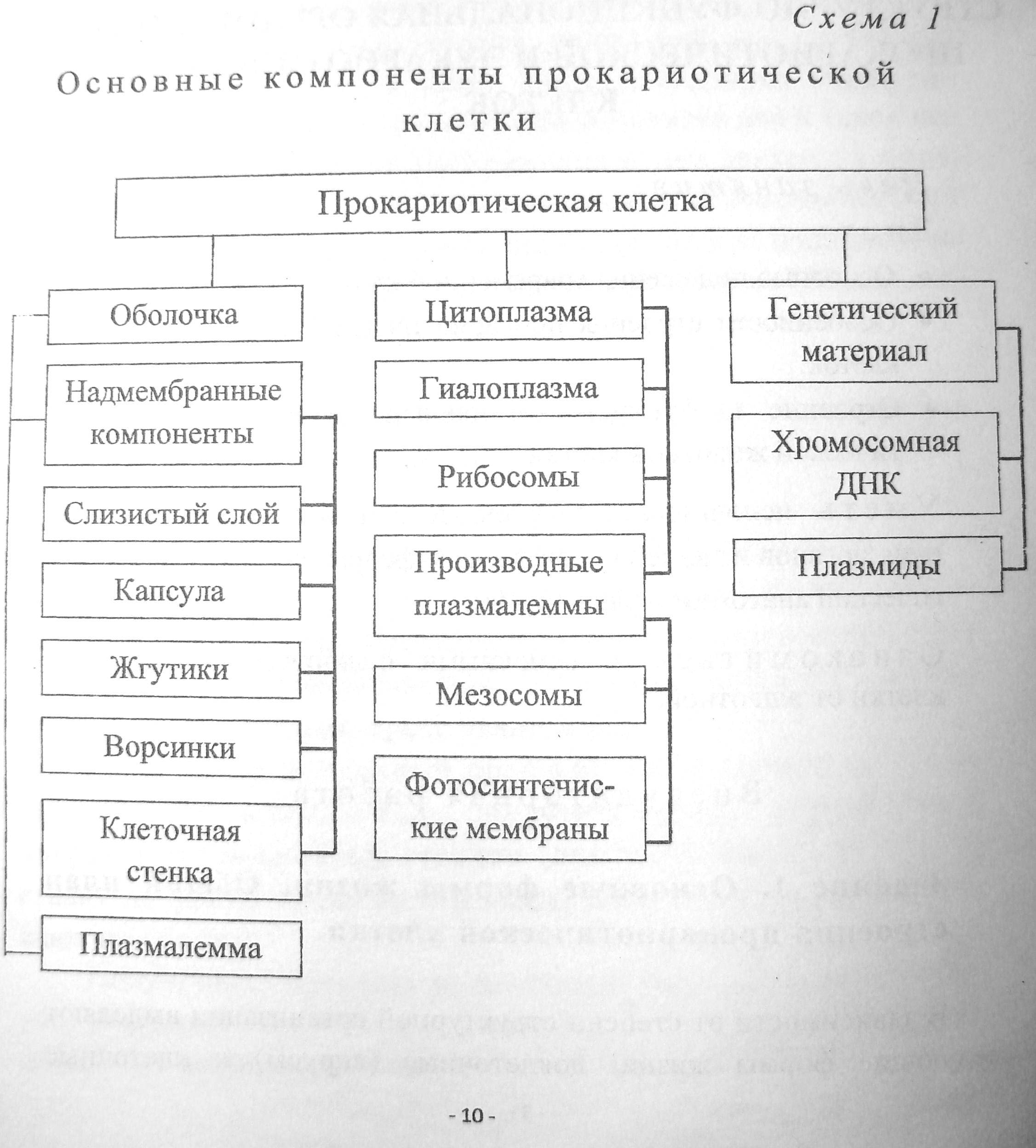 Клетка в таблице поставок которая не удовлетворяет условию оптимальности плана называется клеткой