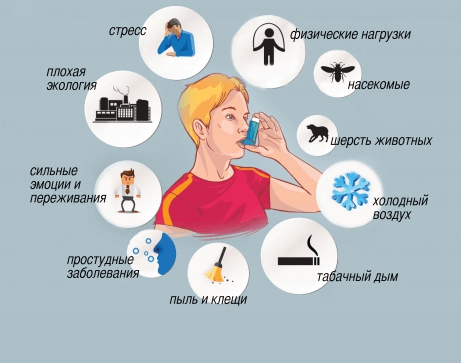 Неотложная помощь при приступе бронхиальной астмы: первые действия при удушье