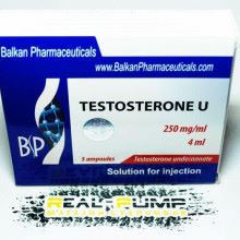 Тестостерон в аптеке - список эффективных гормональных таблеток, ампул, пластырей, бадов, гелей и мазей