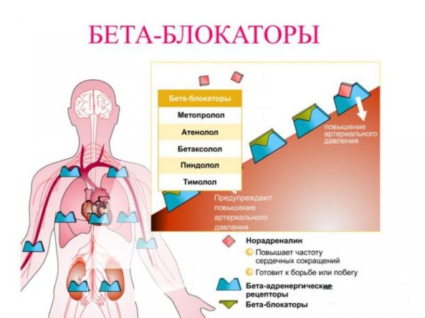 Арител - современный селективный бета2-адреноблокатор