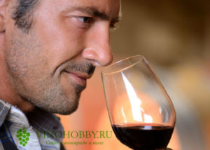 Болезни вина? какими болезнями может болеть вино?