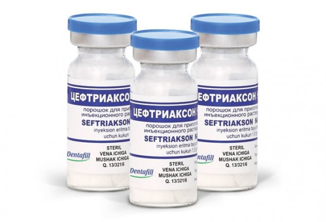 Общие сведения о препарате цефтриаксон в таблетках: аналоги и форма выпуска