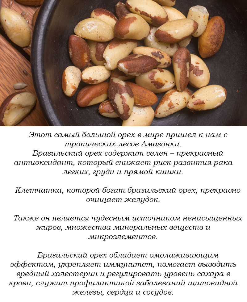 Можно ли есть грецкие орехи при похудении
