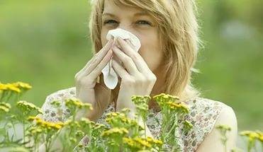 Симптомы аллергии на полынь, полезные советы. аллергия на полынь: что делать, как лечиться