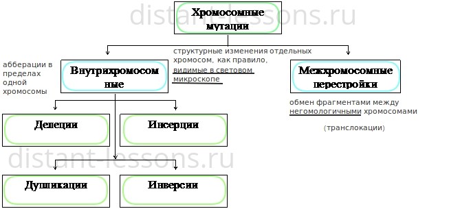 Классификация мутаций схема