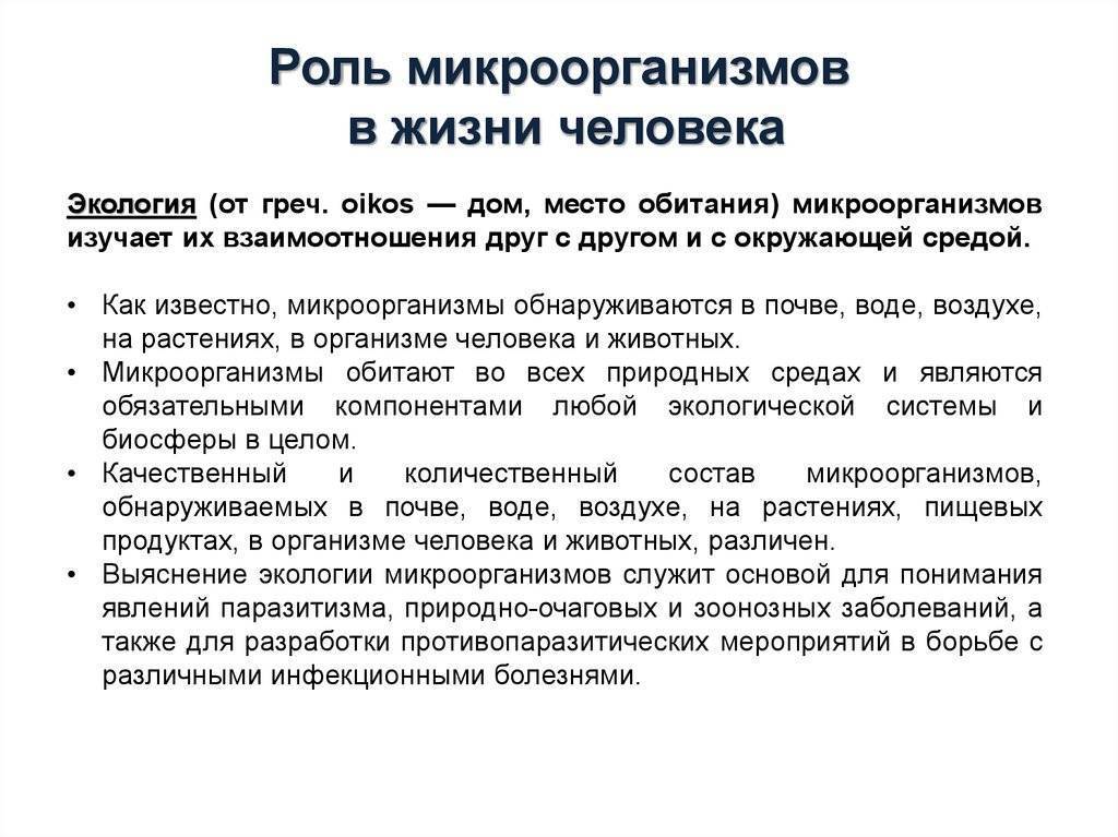 Какую роль бактерии играют в природе 7. Роль бактерий в окружающей среде. Роль микроорганизмов в питании человека. Роль микроорганизмов в жизни человека. Роль бактерий в жизни человека.