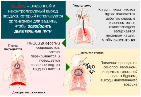 Препараты от кашля при грудном вскармливании