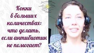 Как называется шарообразная форма бактерий. Смотреть фото Как называется шарообразная форма бактерий. Смотреть картинку Как называется шарообразная форма бактерий. Картинка про Как называется шарообразная форма бактерий. Фото Как называется шарообразная форма бактерий