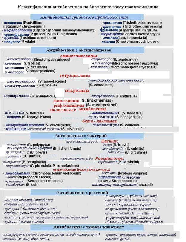 В чем заключается сущность биологических методов выделения чистых культур патогенных микроорганизмов. 5a12cd607676ab2a468224eabc07736f. В чем заключается сущность биологических методов выделения чистых культур патогенных микроорганизмов фото. В чем заключается сущность биологических методов выделения чистых культур патогенных микроорганизмов-5a12cd607676ab2a468224eabc07736f. картинка В чем заключается сущность биологических методов выделения чистых культур патогенных микроорганизмов. картинка 5a12cd607676ab2a468224eabc07736f