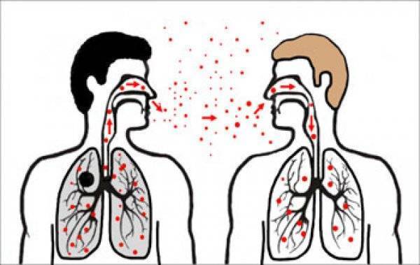 Об утверждении правил принудительного лечения больных туберкулезом в специализированных противотуберкулезных организациях и их выписки