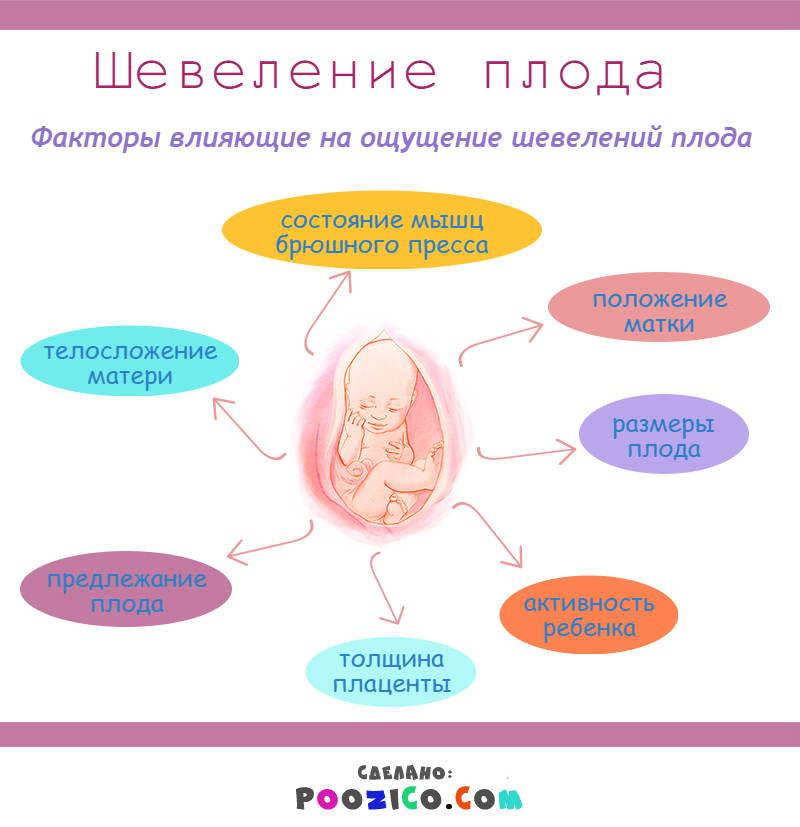 На какой неделе начинает. Первые шевеления ребенка. Во сколько недель начинает шевелиться ребенок. Ребенок на первой неделе беременности. Первое шевеление плода при первой беременности.