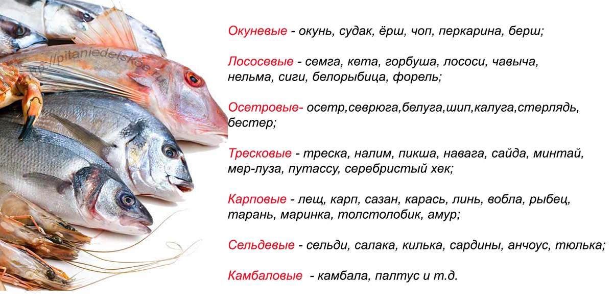 Блюда из рыбы: "рыбный стол". питание детей до года.   как приготовить рыбу ребенку до года | метки: треск