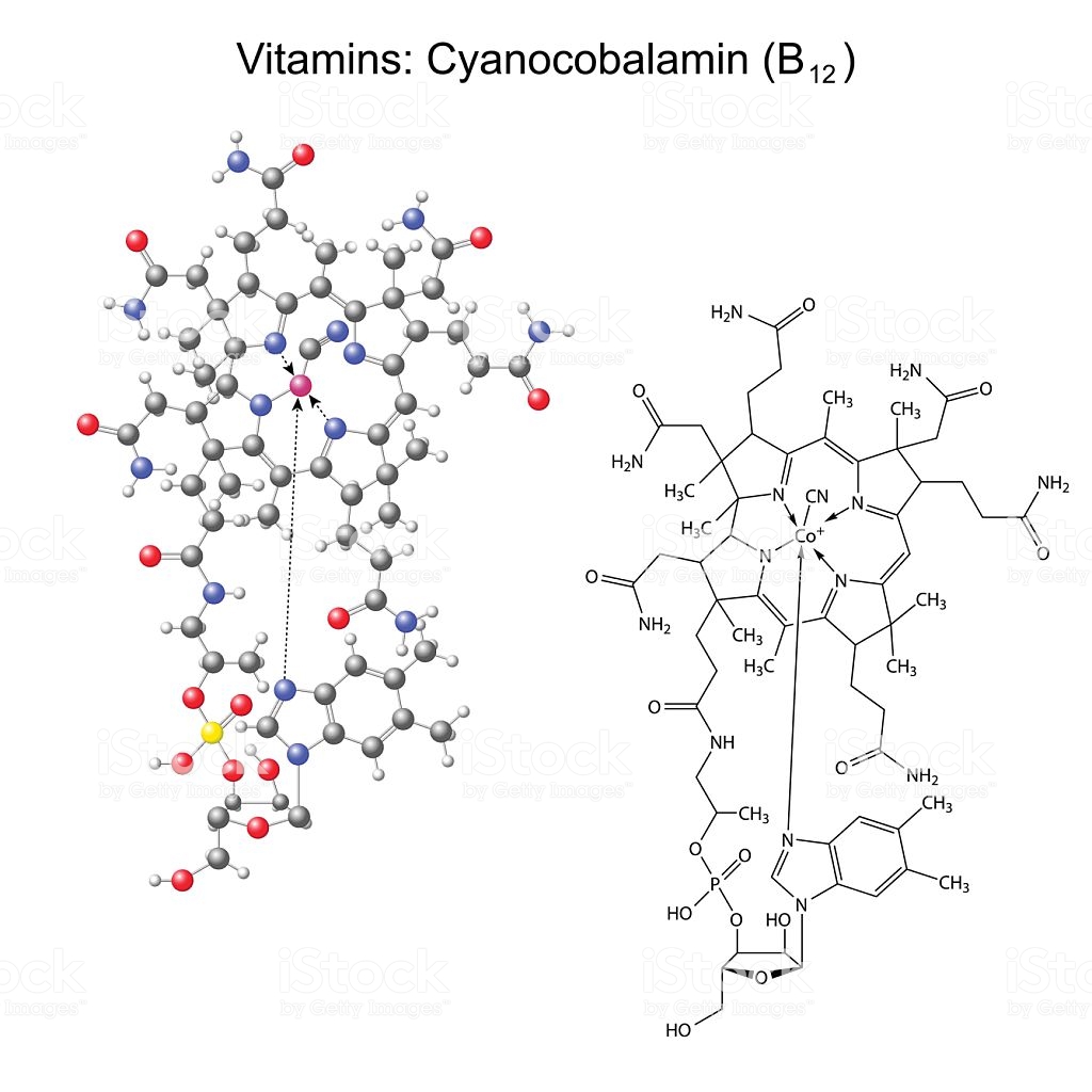 Витамин в12 (цианокобаламин): роль, потребность, нехватка, источники