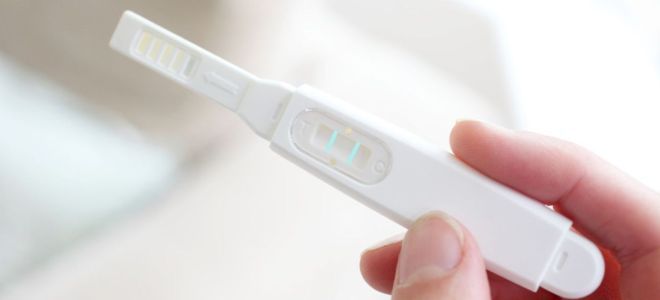 Тест на беременность