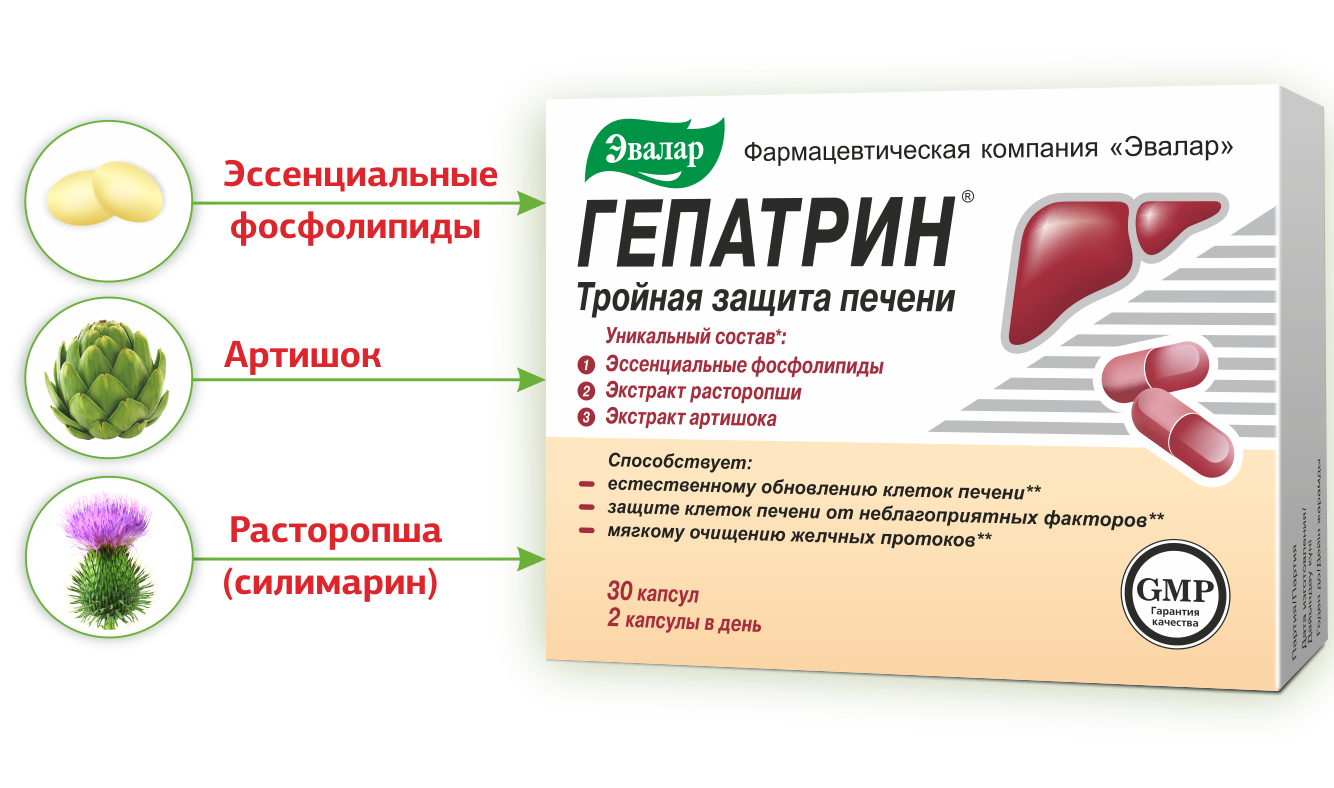 Таблетки для печени гепатрин