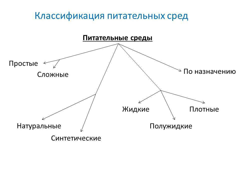 Питательные среды схема