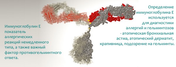 Иммуноглобулин человека против клещевого энцефалита (immunoglobulin human against encephalitis ixodicum)