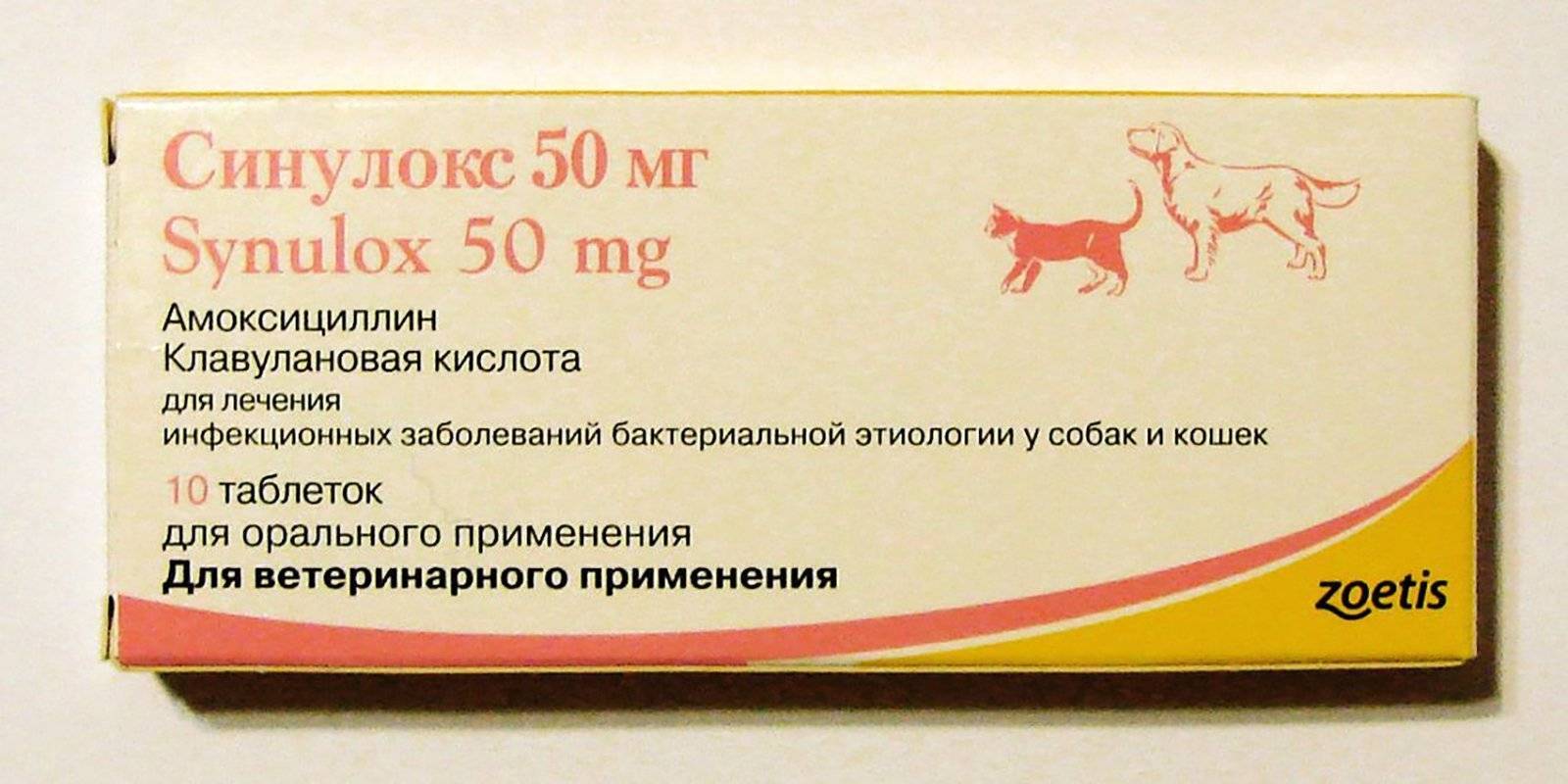 Какие антибиотики для собак. Синулокс 50 мг для кошек. Собачий антибиотик синулокс. Кошачий антибиотик синулокс. Антибиотик для животных синулокс таблетки 50мг.