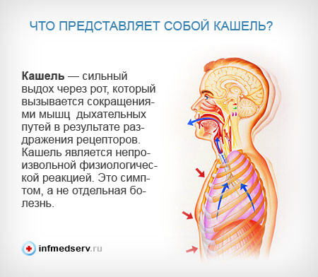 Мокрота желтая с кашлем без температуры что делать. Смотреть фото Мокрота желтая с кашлем без температуры что делать. Смотреть картинку Мокрота желтая с кашлем без температуры что делать. Картинка про Мокрота желтая с кашлем без температуры что делать. Фото Мокрота желтая с кашлем без температуры что делать