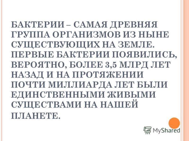 Конспект урока по теме : "бактерии. строение и жизнедеятельность"