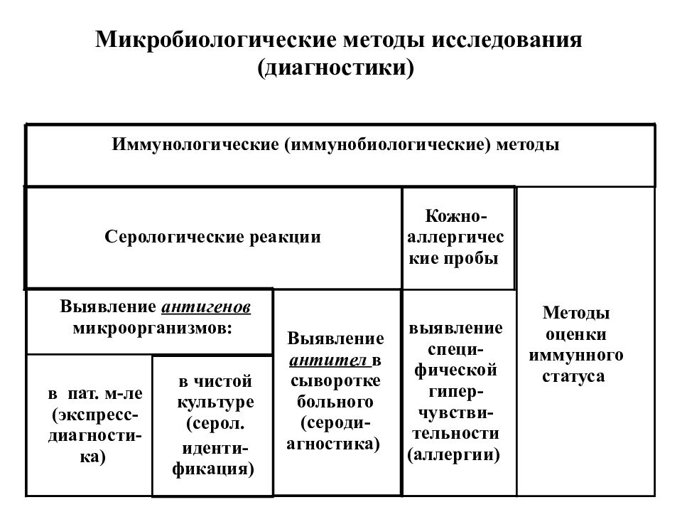 какую функцию выполняет капсула у бактерий. картинка какую функцию выполняет капсула у бактерий. какую функцию выполняет капсула у бактерий фото. какую функцию выполняет капсула у бактерий видео. какую функцию выполняет капсула у бактерий смотреть картинку онлайн. смотреть картинку какую функцию выполняет капсула у бактерий.