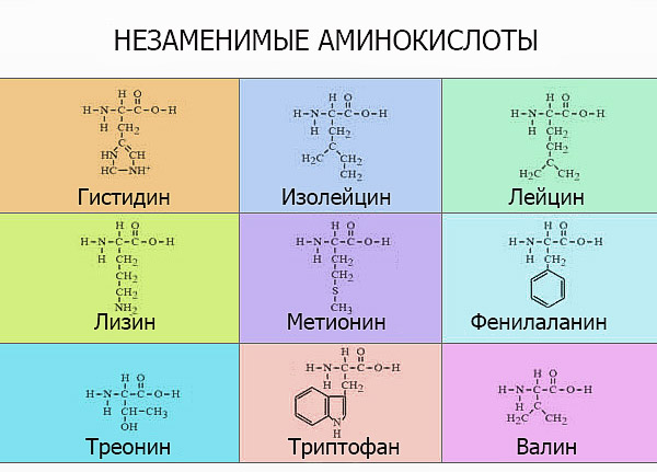 По какой схеме диссоциируют щелочи