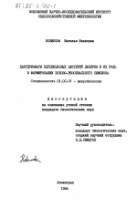 Что такое клубеньковые бактерии 5 класс биология. Смотреть фото Что такое клубеньковые бактерии 5 класс биология. Смотреть картинку Что такое клубеньковые бактерии 5 класс биология. Картинка про Что такое клубеньковые бактерии 5 класс биология. Фото Что такое клубеньковые бактерии 5 класс биология