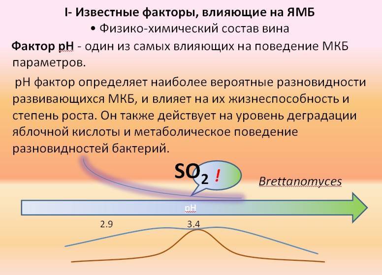 Известны факторы. Ямб в виноделии. Факторы влияющие на РН. Ямб вино. Ямб яблочно молочное брожение.