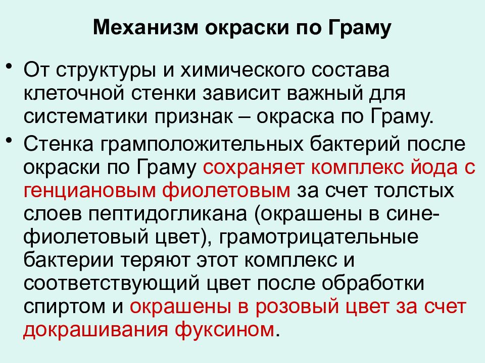 Механизм значение. Механизм окраски бактерий по методу грама. Механизм окраски по методу грама. Механизм окраски грамположительных бактерий. Механизм окраски по Граму.