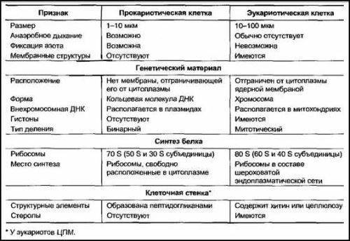 В чем заключается принципиальное различие клеток живых организмов. 70d9628222a30b0325b532d0a512f0f1. В чем заключается принципиальное различие клеток живых организмов фото. В чем заключается принципиальное различие клеток живых организмов-70d9628222a30b0325b532d0a512f0f1. картинка В чем заключается принципиальное различие клеток живых организмов. картинка 70d9628222a30b0325b532d0a512f0f1