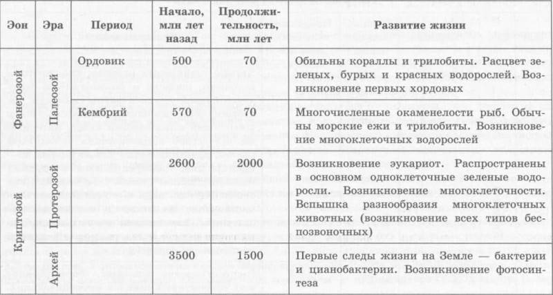 Бактерии это древние организмы потому что они. 719396724b67fbc949a271b95a34e0c3. Бактерии это древние организмы потому что они фото. Бактерии это древние организмы потому что они-719396724b67fbc949a271b95a34e0c3. картинка Бактерии это древние организмы потому что они. картинка 719396724b67fbc949a271b95a34e0c3.