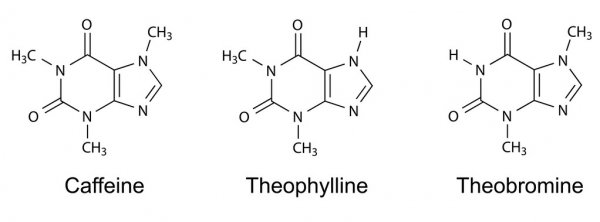 Теофиллин