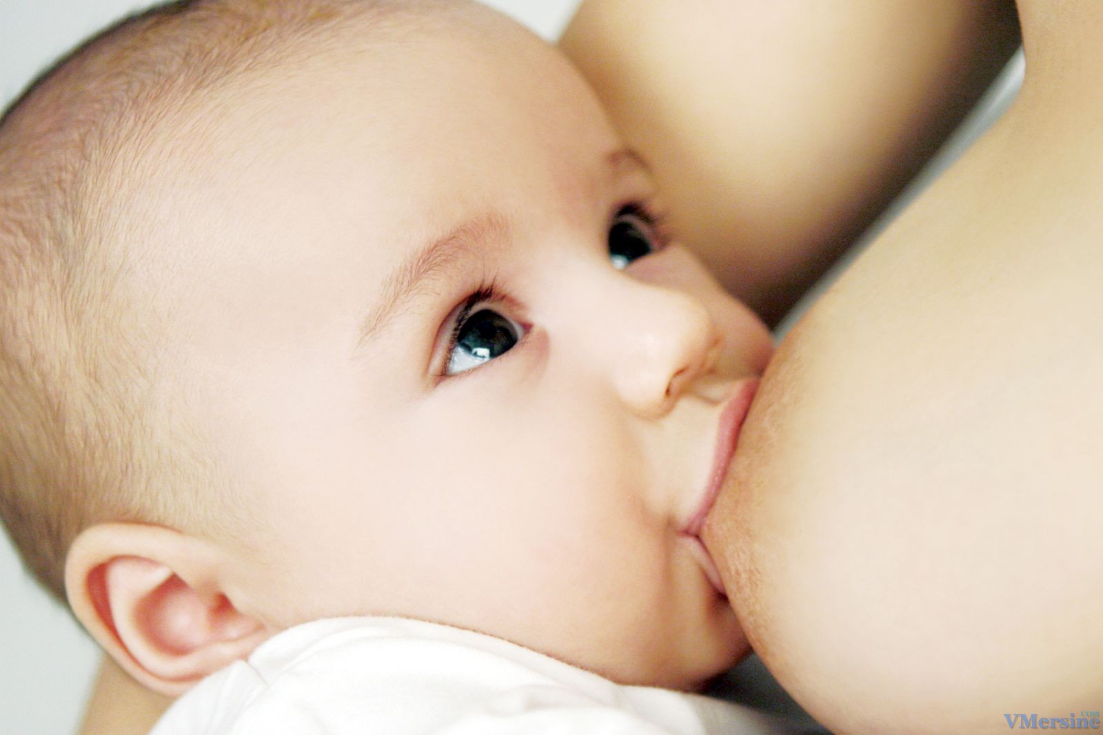 Кандид: инструкция по применению, цена, отзывы при молочнице у новорожденных