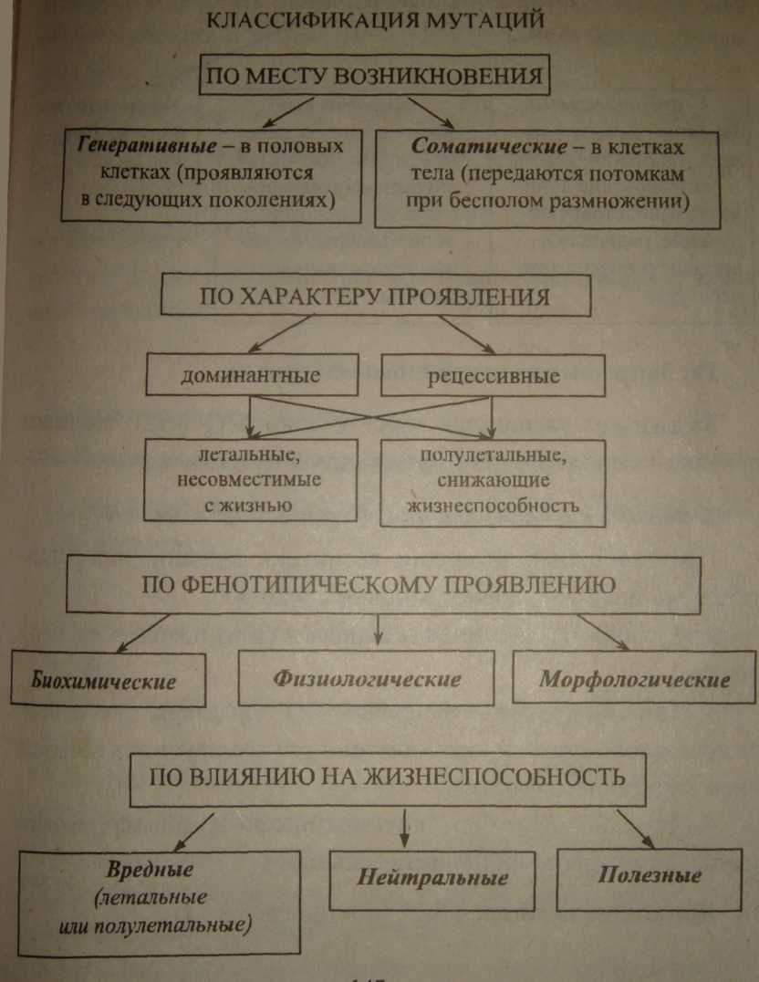 Схема классификации мутаций