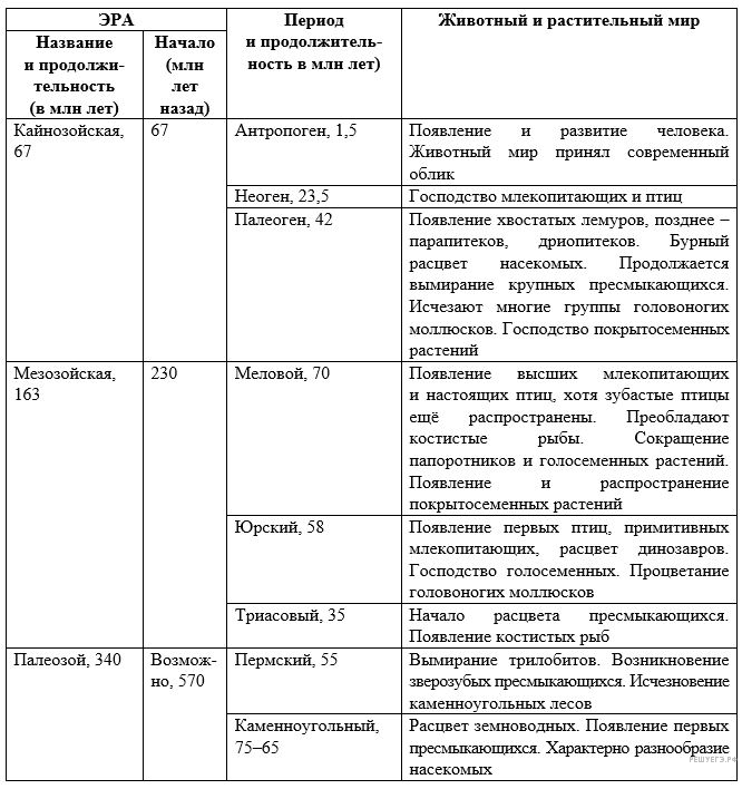 в чем сходство животной и грибной клетки. Смотреть фото в чем сходство животной и грибной клетки. Смотреть картинку в чем сходство животной и грибной клетки. Картинка про в чем сходство животной и грибной клетки. Фото в чем сходство животной и грибной клетки