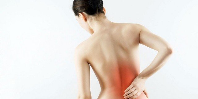 Травяные сборы при болях в спине