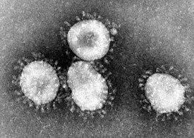 Противогепатитный рибавирин от коронавируса: что думают врачи