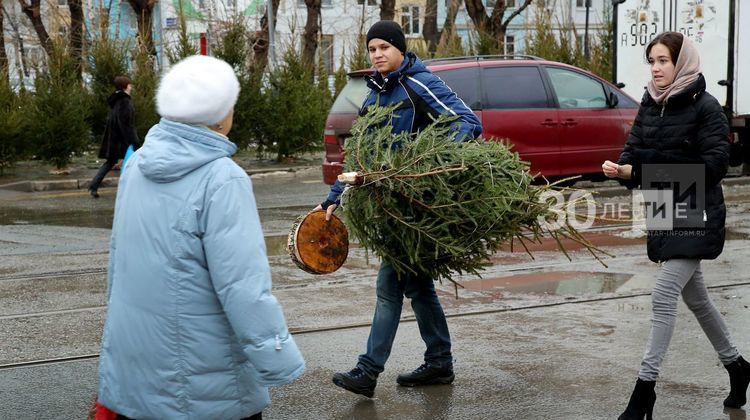 Елочка, гори: проверка разных типов новогодних деревьев на огнестойкость // нтв.ru