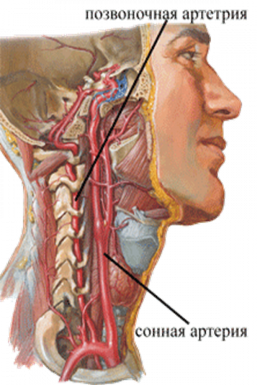 Причины, симптомы и методы лечения шейного остеохондроза