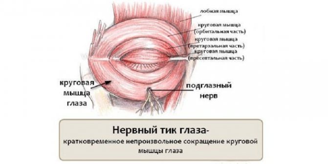 Нервный тик у ребенка моргание глазами лечение