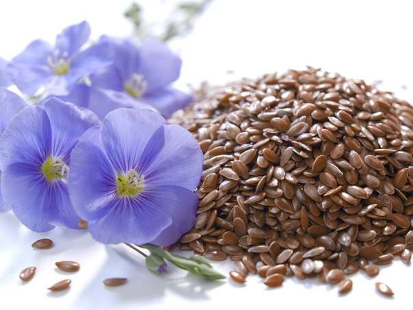 “польза семян льна: лечебные свойства для организма и применение дома”