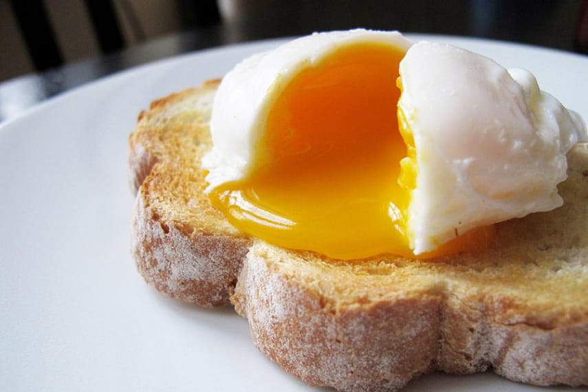 Сырые яйца: польза и вред для организма