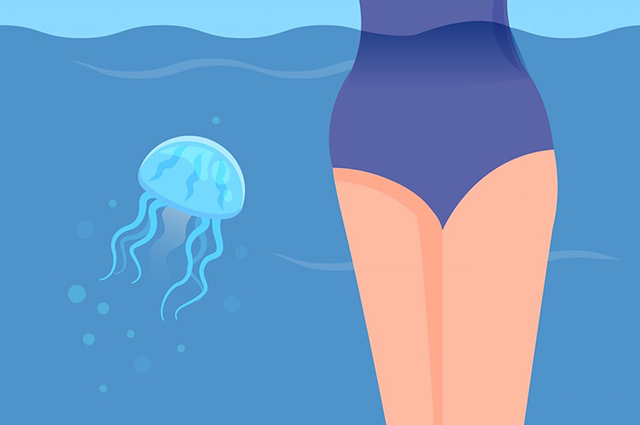 Что делать, если ужалила медуза: первая помощь, препараты, народные средства