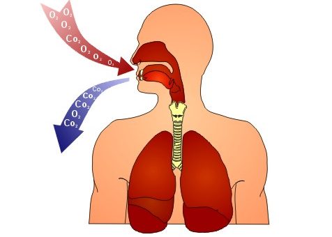Препарат от астмы «cолутан»