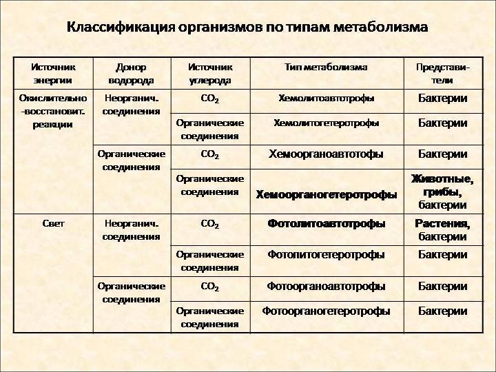 Классификация организмов