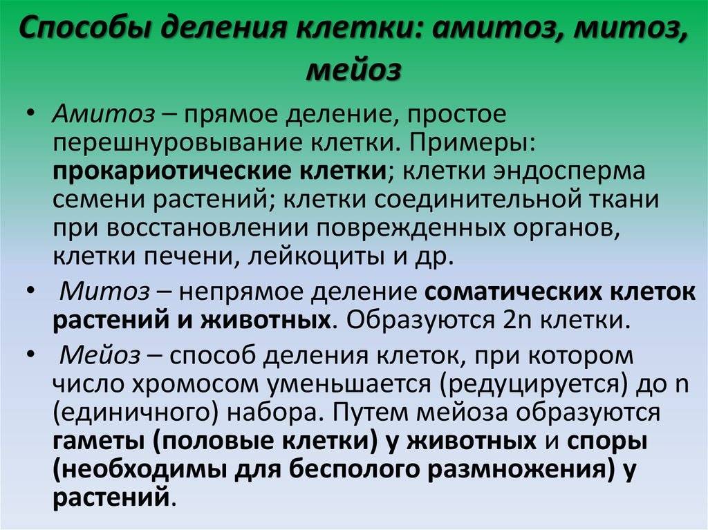 Способы деления клетки. Способы деления клетки таблица. Основные способы деления клеток. Способы деления клеток их характеристика.