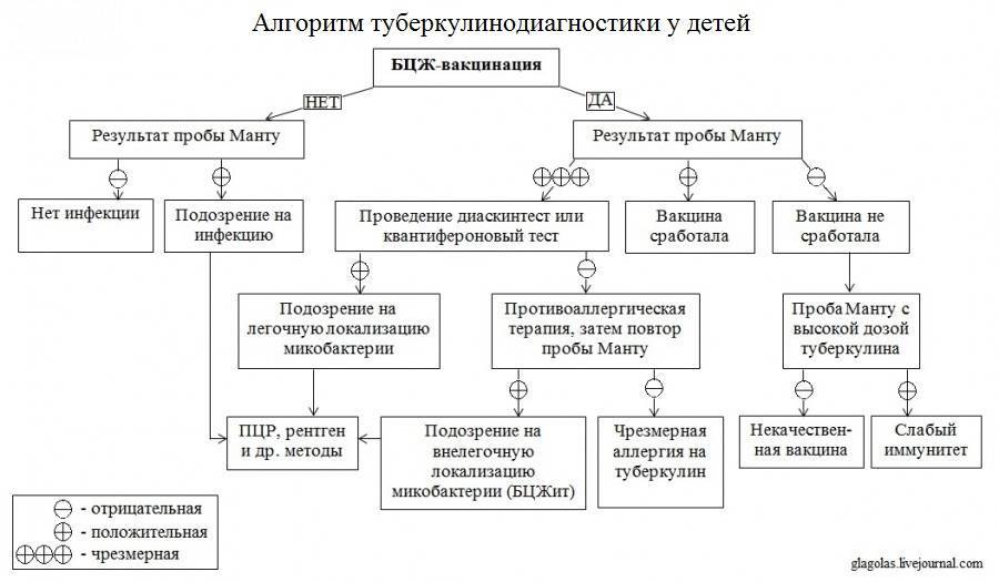 Манту в казахстане