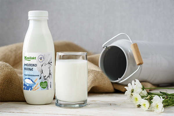 С какого возраста можно давать козье молоко для грудничка: полезные свойства и аллергенность продукта