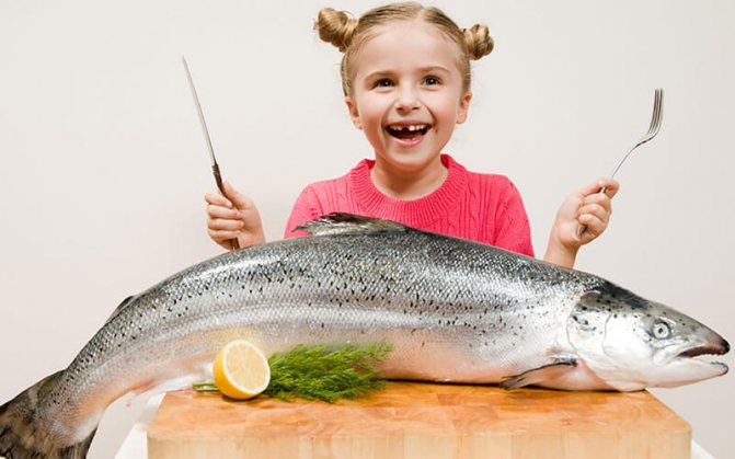 Питание ребенка: рыбный стол. как выбрать рыбу для первого прикорма. рыба для первого прикорма детей